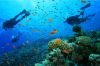 ha-noi-cam-ranh-ninh-thuan-nha-trang-ha-noi - ảnh nhỏ  1