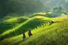 mu-cang-chai-deo-khau-pha-tu-le-2-ngay-1-dem - ảnh nhỏ  1