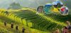 tour-tp-hcm-ha-noi-ha-long-ninh-binh-tam-chuc-sapa-fansipan - ảnh nhỏ  1
