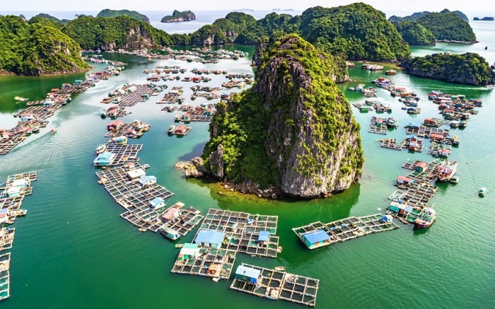 Cách di chuyển Hà Nội đi Cát Bà nhanh nhất – không lo tắc phà